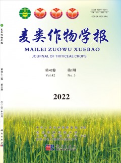 麦类作物学报